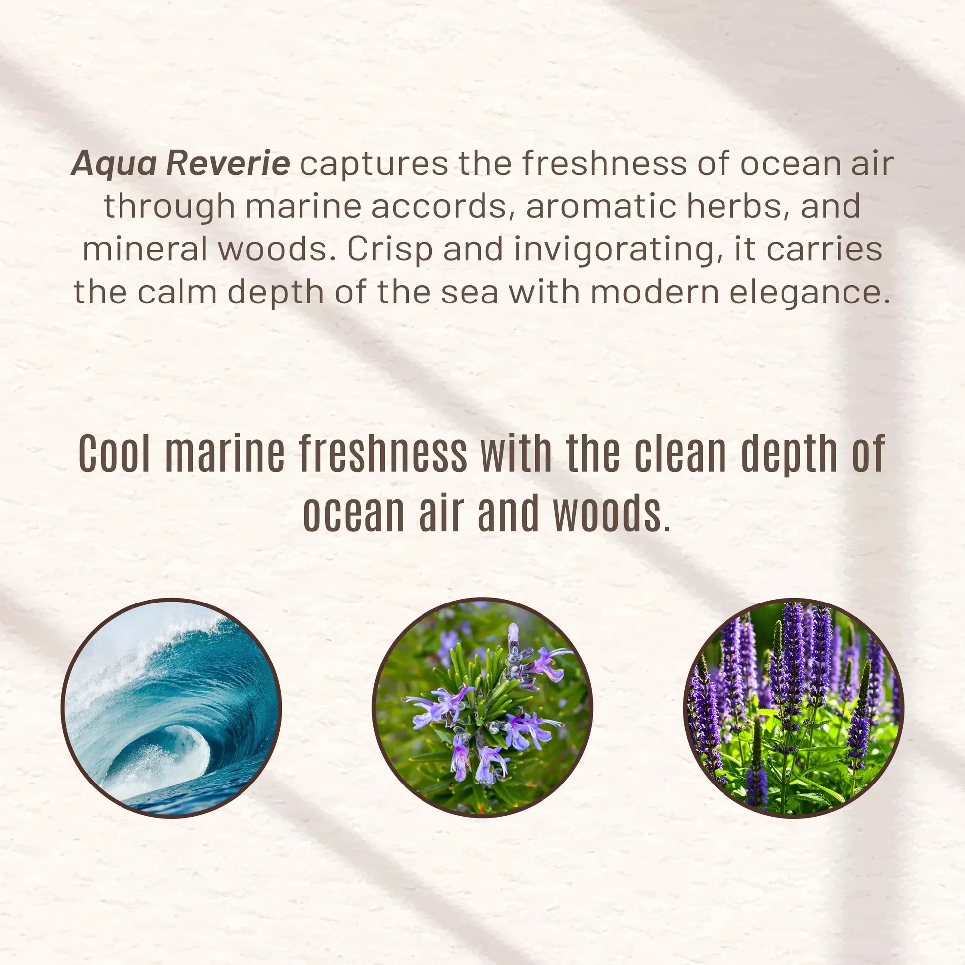 Aqua Reverie